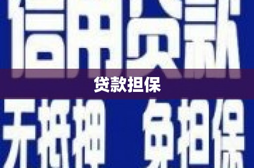 屏边贷款担保