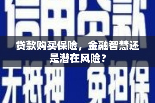 屏边贷款购买保险，金融智慧还是潜在风险？