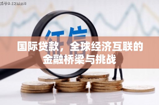 屏边国际贷款，全球经济互联的金融桥梁与挑战