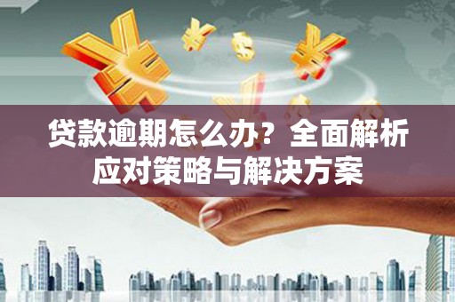 屏边贷款逾期怎么办？全面解析应对策略与解决方案
