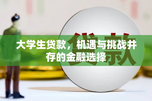 屏边大学生贷款，机遇与挑战并存的金融选择