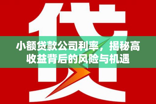 屏边小额贷款公司利率，揭秘高收益背后的风险与机遇