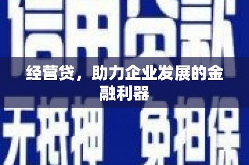 屏边经营贷，助力企业发展的金融利器