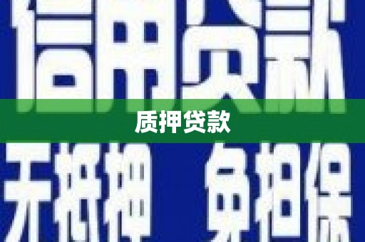 屏边质押贷款