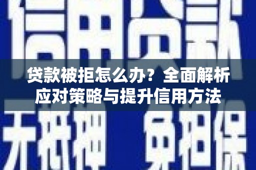屏边贷款被拒怎么办？全面解析应对策略与提升信用方法