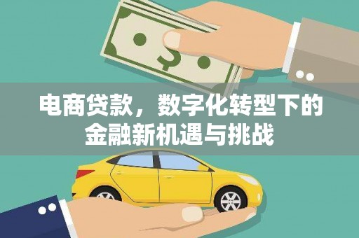 屏边电商贷款，数字化转型下的金融新机遇与挑战