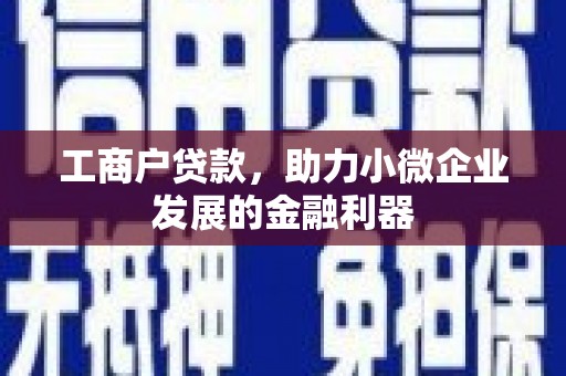 屏边工商户贷款，助力小微企业发展的金融利器