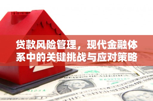 屏边贷款风险管理，现代金融体系中的关键挑战与应对策略