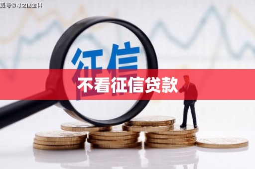 屏边不看征信贷款