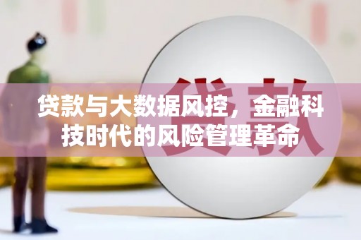 屏边贷款与大数据风控，金融科技时代的风险管理革命