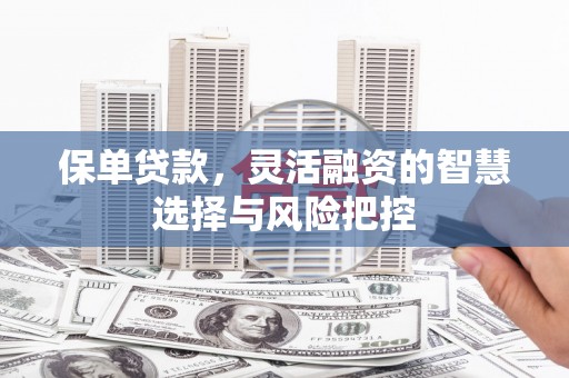 屏边保单贷款，灵活融资的智慧选择与风险把控