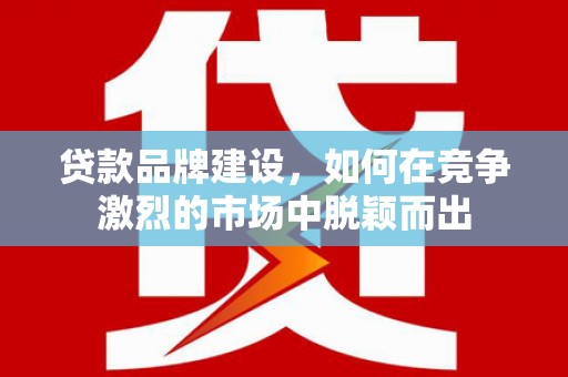 屏边贷款品牌建设，如何在竞争激烈的市场中脱颖而出