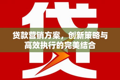 屏边贷款营销方案，创新策略与高效执行的完美结合
