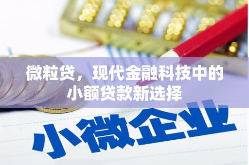 屏边微粒贷，现代金融科技中的小额贷款新选择