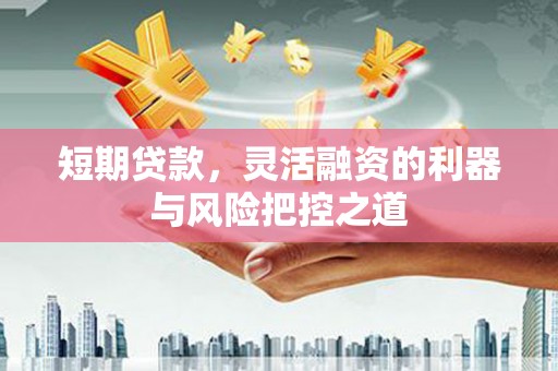 屏边短期贷款，灵活融资的利器与风险把控之道