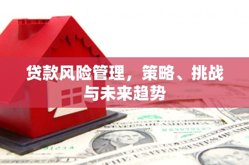 屏边贷款风险管理，策略、挑战与未来趋势
