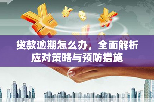 屏边贷款逾期怎么办，全面解析应对策略与预防措施