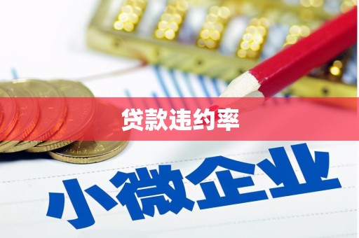 屏边贷款违约率
