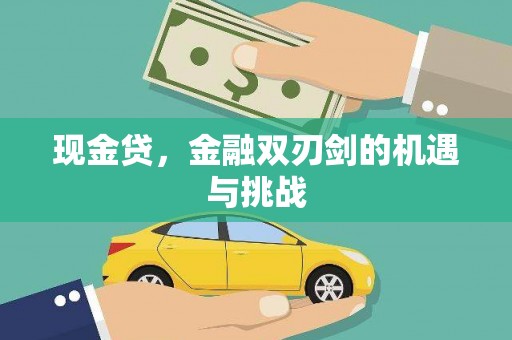 屏边现金贷，金融双刃剑的机遇与挑战