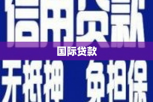 屏边国际贷款