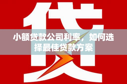 屏边小额贷款公司利率，如何选择最佳贷款方案