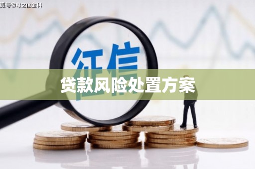 屏边贷款风险处置方案
