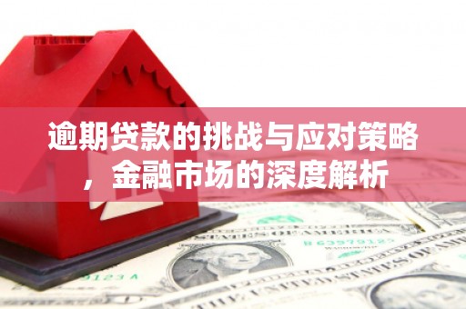 屏边逾期贷款的挑战与应对策略，金融市场的深度解析