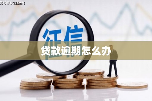 屏边贷款逾期怎么办