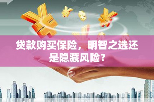 屏边贷款购买保险，明智之选还是隐藏风险？