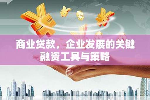 屏边商业贷款，企业发展的关键融资工具与策略