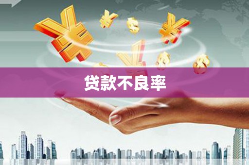 屏边贷款不良率