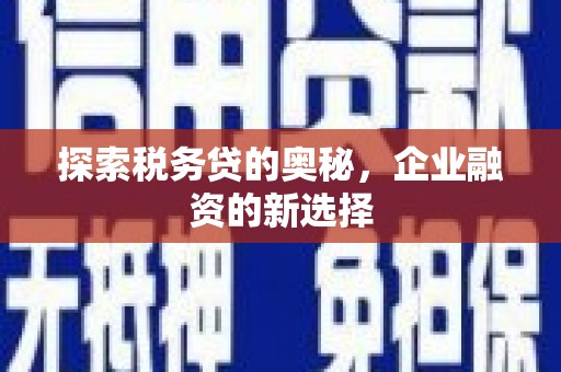 屏边探索税务贷的奥秘，企业融资的新选择