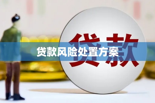 屏边贷款风险处置方案