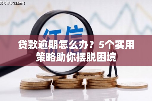 屏边贷款逾期怎么办？5个实用策略助你摆脱困境
