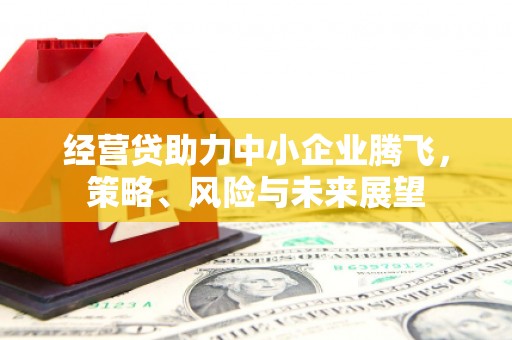 屏边经营贷助力中小企业腾飞，策略、风险与未来展望