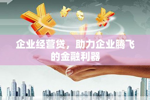 屏边企业经营贷，助力企业腾飞的金融利器
