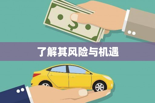 屏边了解其风险与机遇