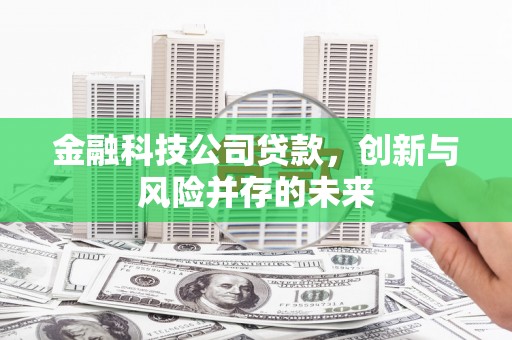屏边金融科技公司贷款，创新与风险并存的未来
