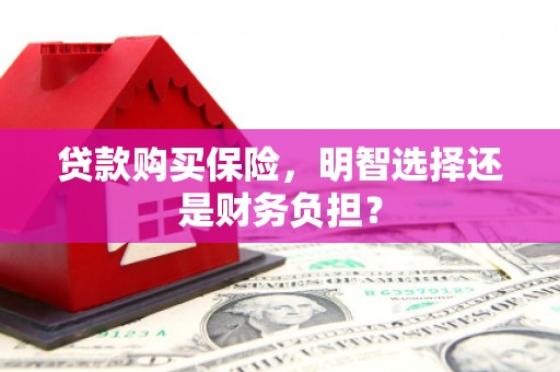 屏边贷款购买保险，明智选择还是财务负担？