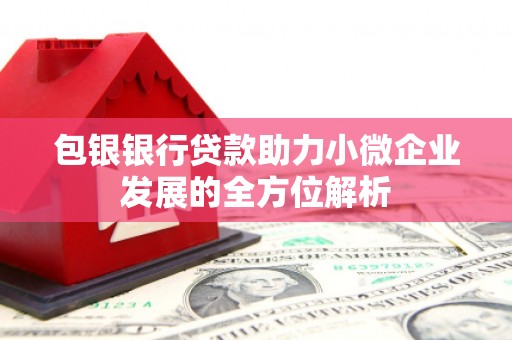 屏边包银银行贷款助力小微企业发展的全方位解析 屏边包银银行贷款助力小微企业发展的全方位解析