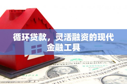 屏边循环贷款，灵活融资的现代金融工具