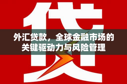 屏边外汇贷款，全球金融市场的关键驱动力与风险管理