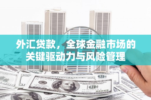 屏边外汇贷款，全球金融市场的关键驱动力与风险管理