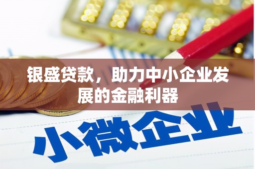 屏边银盛贷款，助力中小企业发展的金融利器