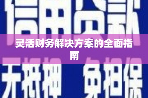 屏边灵活财务解决方案的全面指南