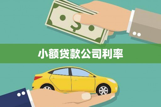 屏边小额贷款公司利率