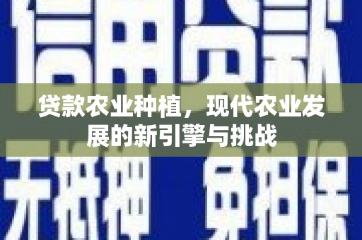 屏边贷款农业种植，现代农业发展的新引擎与挑战