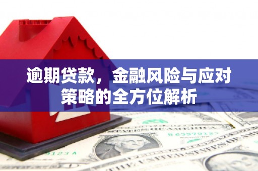 屏边逾期贷款，金融风险与应对策略的全方位解析