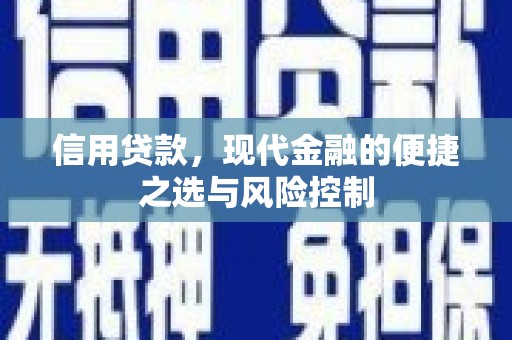 屏边信用贷款，现代金融的便捷之选与风险控制
