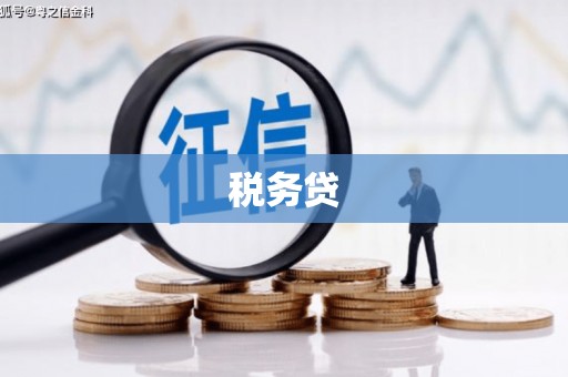 屏边税务贷